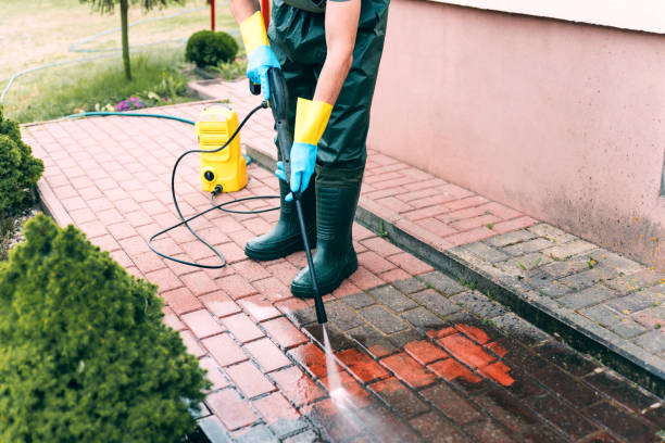 Animal Enclosure Cleaning in Sharon, WI